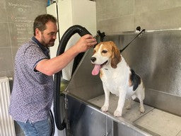 Dog owner Mike