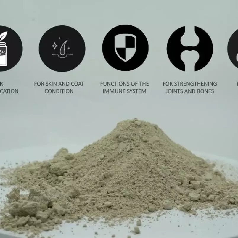 MicroZeoGen voedingssupplement voordelen