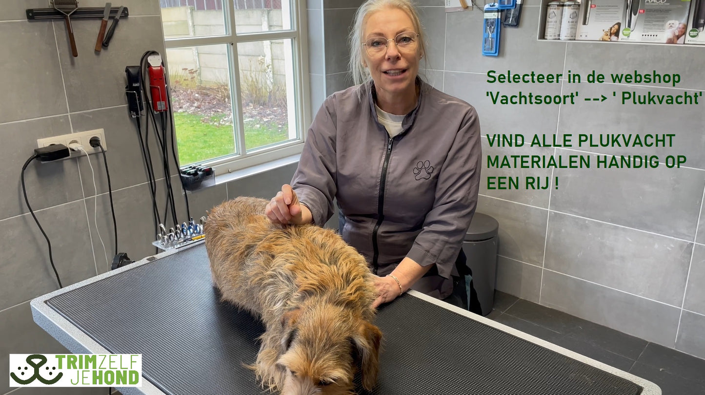 Workshops | Leer zelf uw hond trimmen