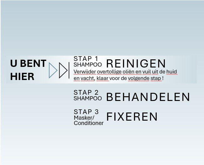 Tauro u bent hier stap 1 REINIGEN