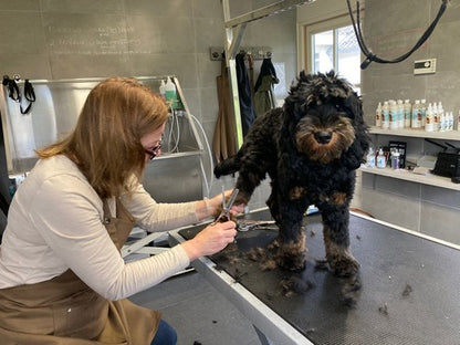 Dog grooming paws