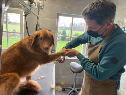 Dog coat clipping