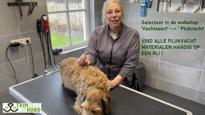 Workshops | Leer zelf uw hond trimmen