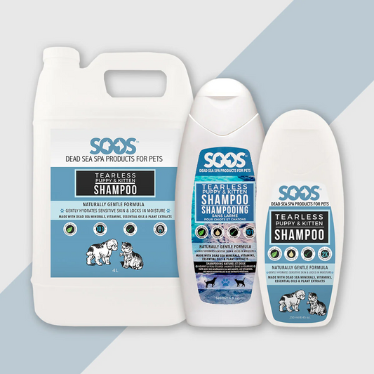 Soos traanvrije Puppy & Kitten shampoo – milde verzorging voor jonge honden en katten